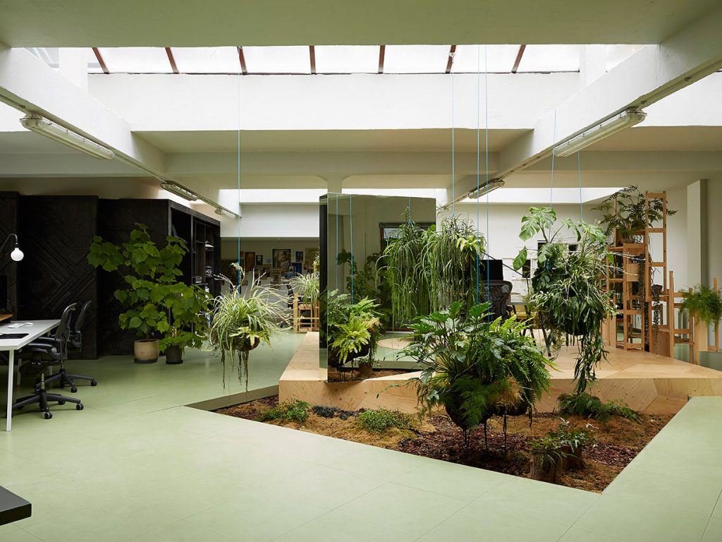 Plant Installation Service