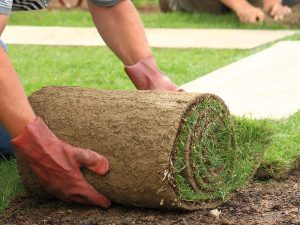 Sod Installation Services